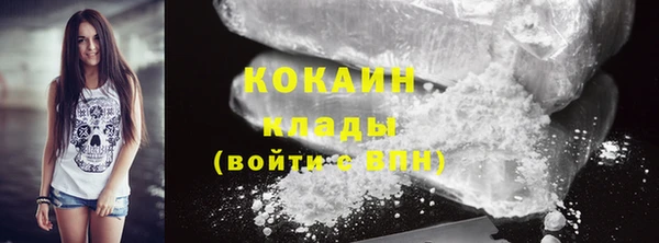 трава Магас