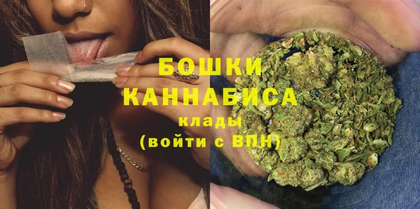 трава Магас