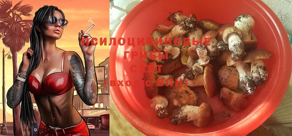 трава Магас