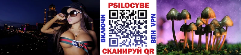 Псилоцибиновые грибы Psilocybine cubensis  Харовск 